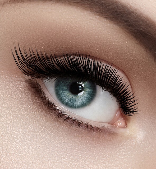 Picture Perfect Lashes